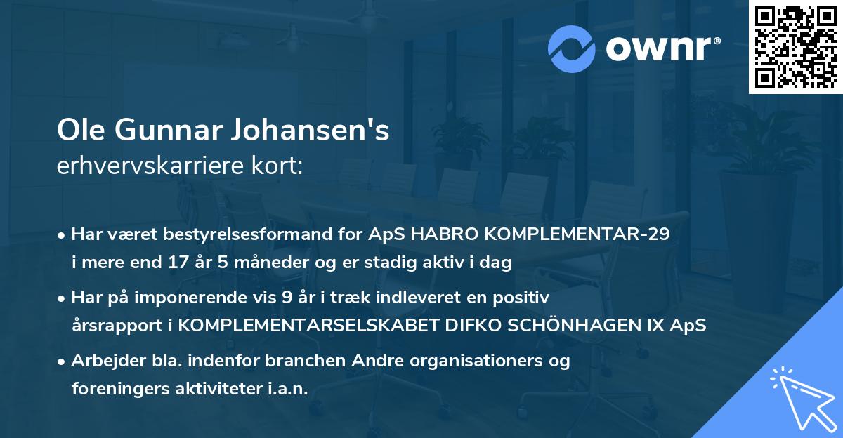 Ole Gunnar Johansen's erhvervskarriere kort