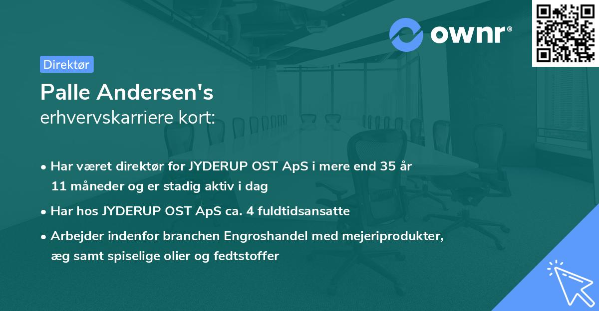 Palle Andersen's erhvervskarriere kort