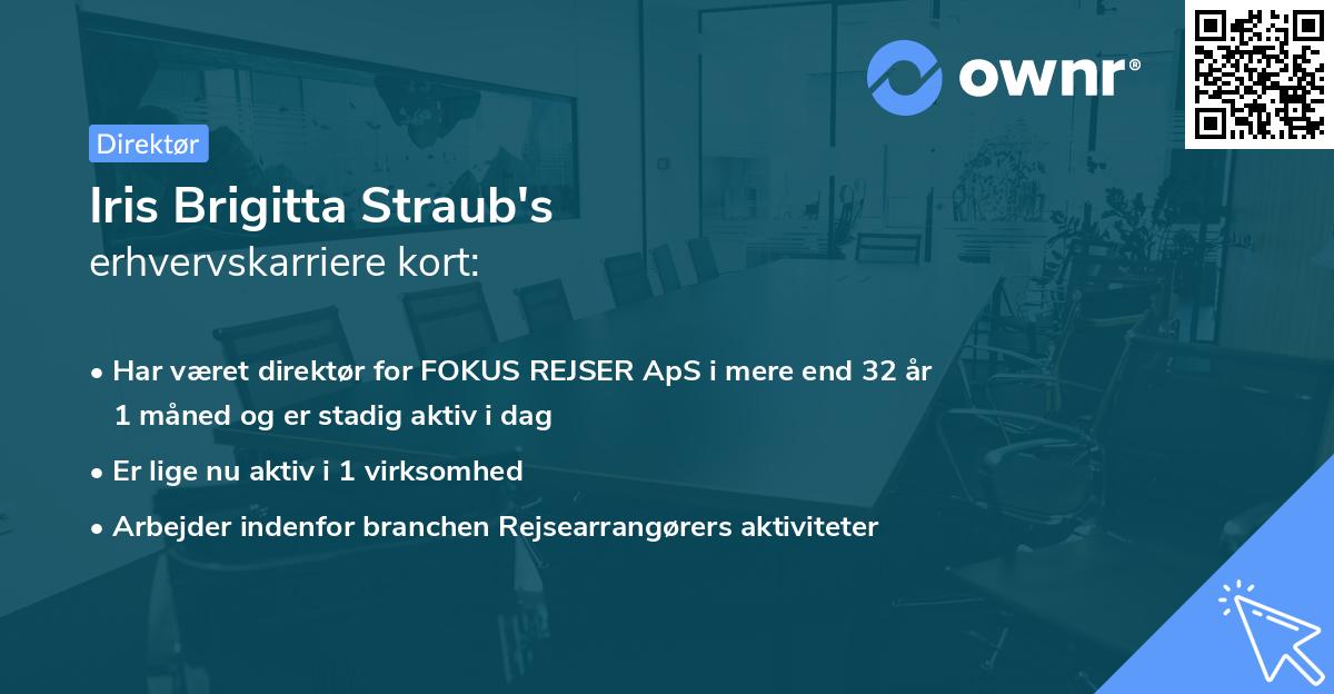 Iris Brigitta Straub's erhvervskarriere kort