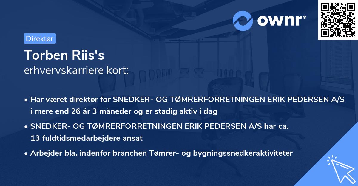 Torben Riis's erhvervskarriere kort