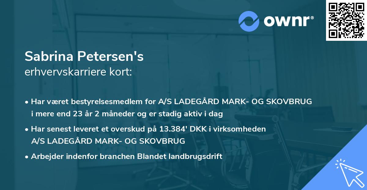 Sabrina Petersen's erhvervskarriere kort