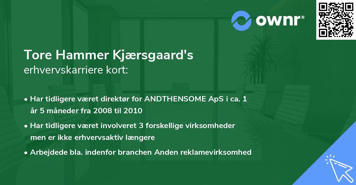 Tore Hammer Kjærsgaard's erhvervskarriere kort