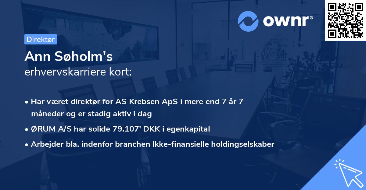 Ann Søholm's erhvervskarriere kort