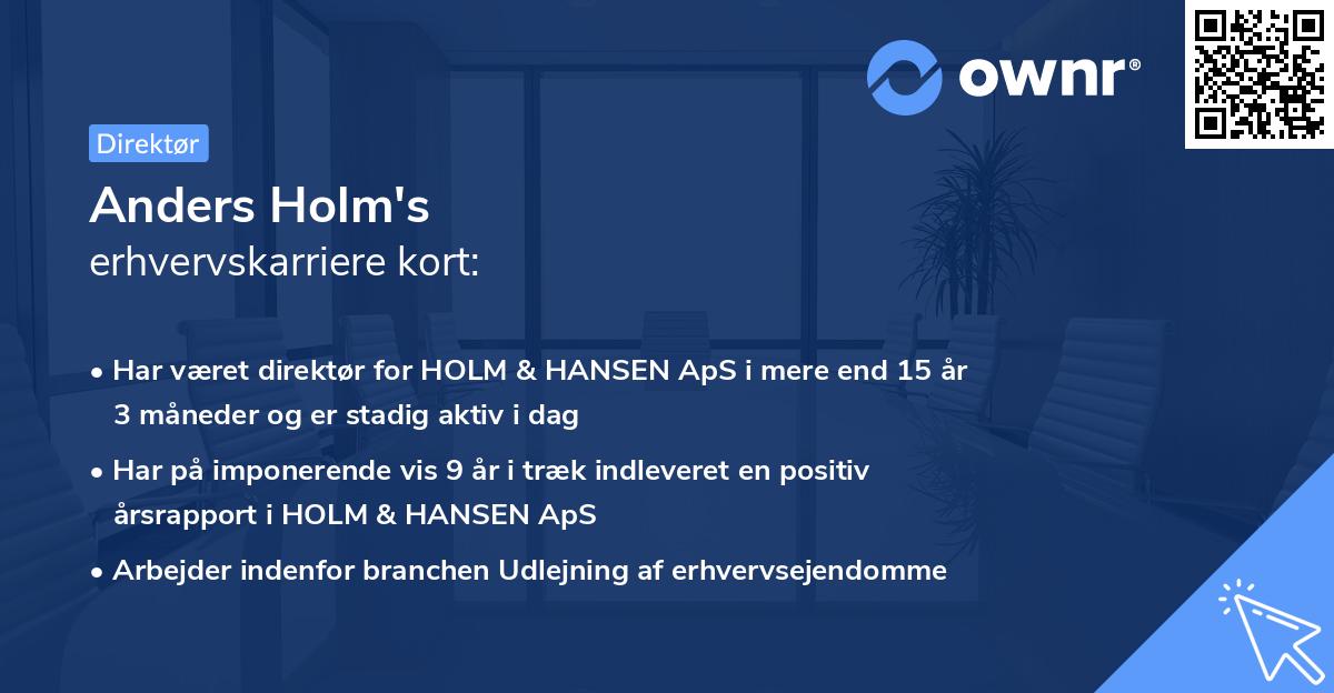 Anders Holm's erhvervskarriere kort