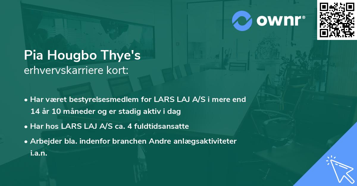 Pia Hougbo Thye's erhvervskarriere kort