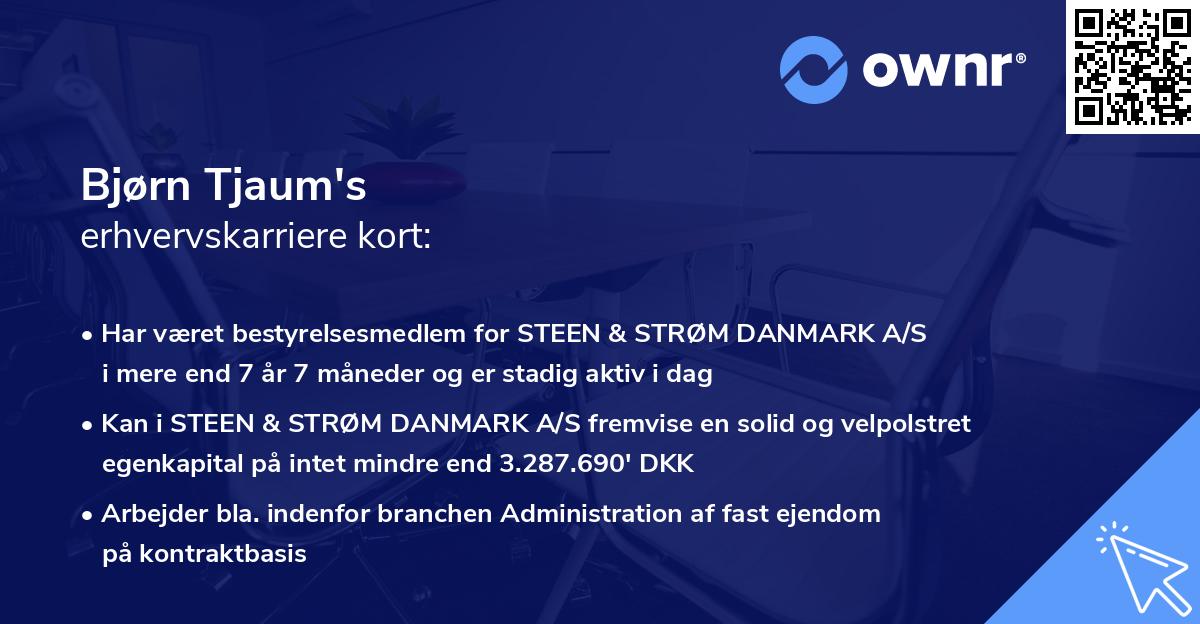 Bjørn Tjaum's erhvervskarriere kort