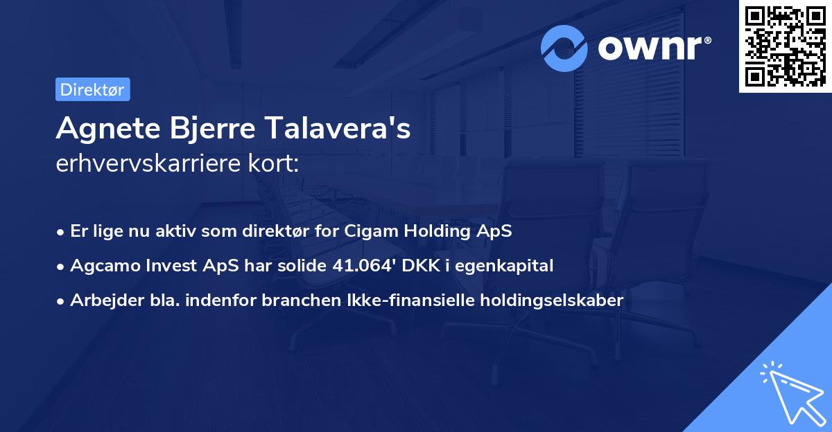 Agnete Bjerre Talavera's erhvervskarriere kort