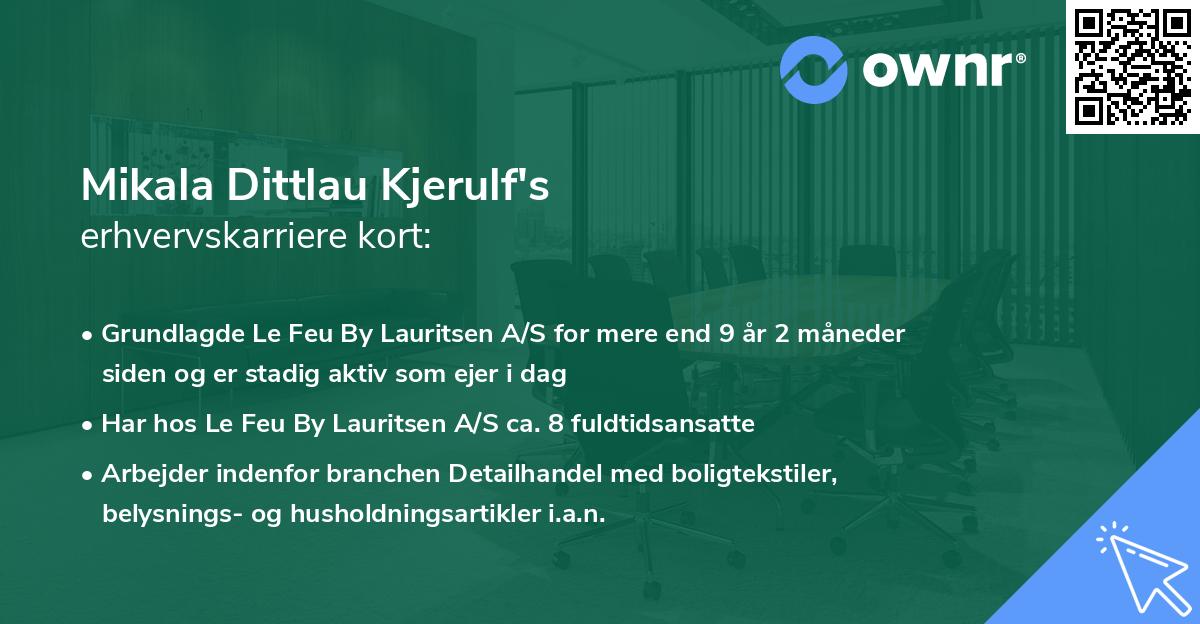 Mikala Dittlau Kjerulf's erhvervskarriere kort