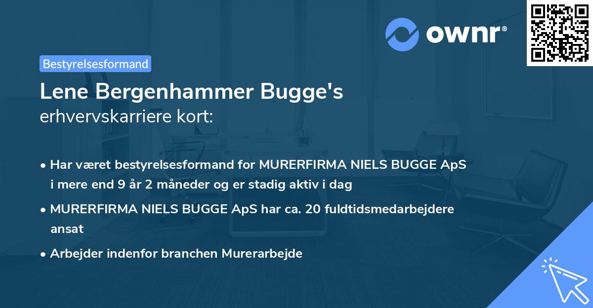 Lene Bergenhammer Bugge's erhvervskarriere kort
