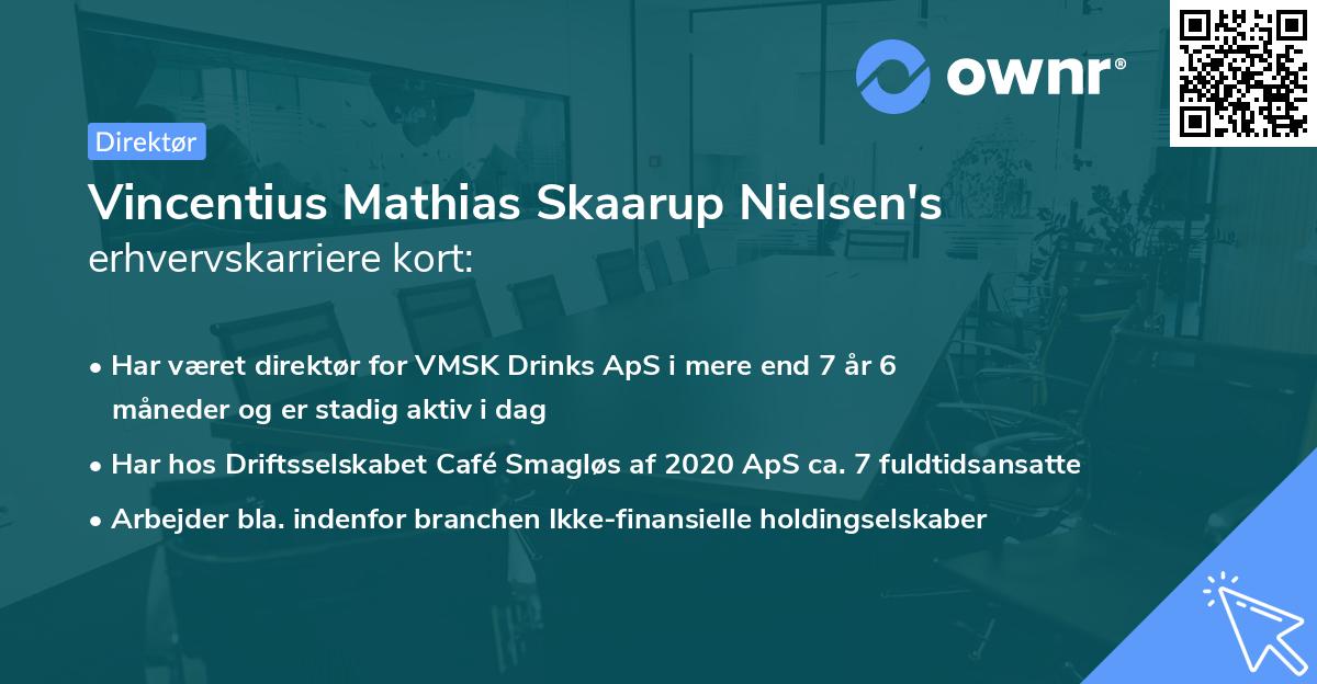 Vincentius Mathias Skaarup Nielsen's erhvervskarriere kort