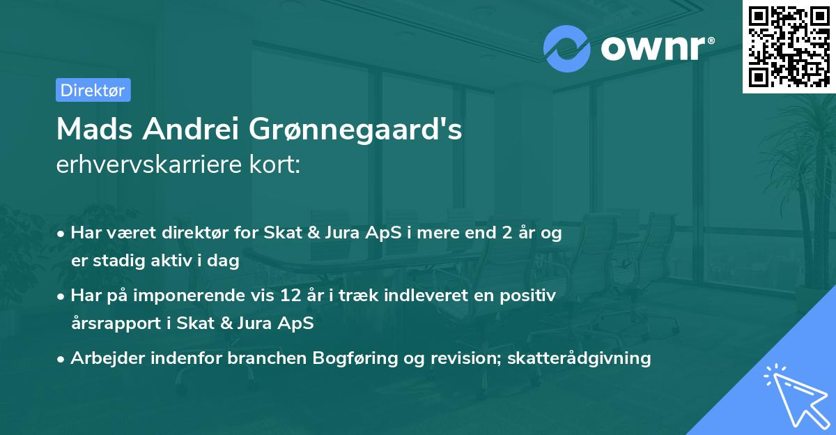 Mads Andrei Grønnegaard's erhvervskarriere kort