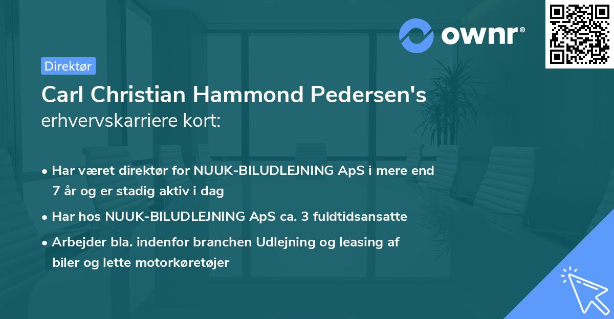 Carl Christian Hammond Pedersen's erhvervskarriere kort