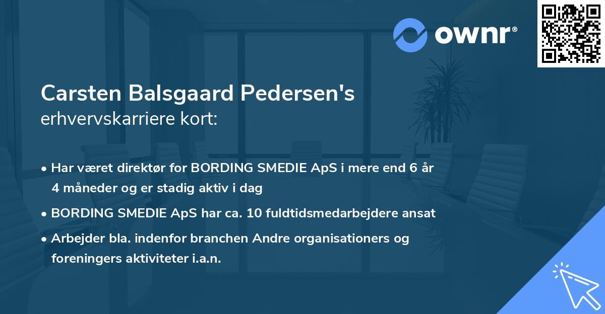 Carsten Balsgaard Pedersen's erhvervskarriere kort