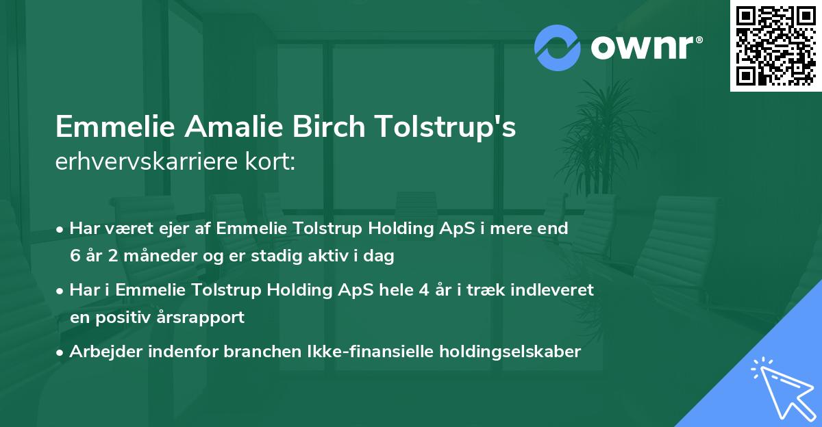 Emmelie Amalie Birch Tolstrup's erhvervskarriere kort