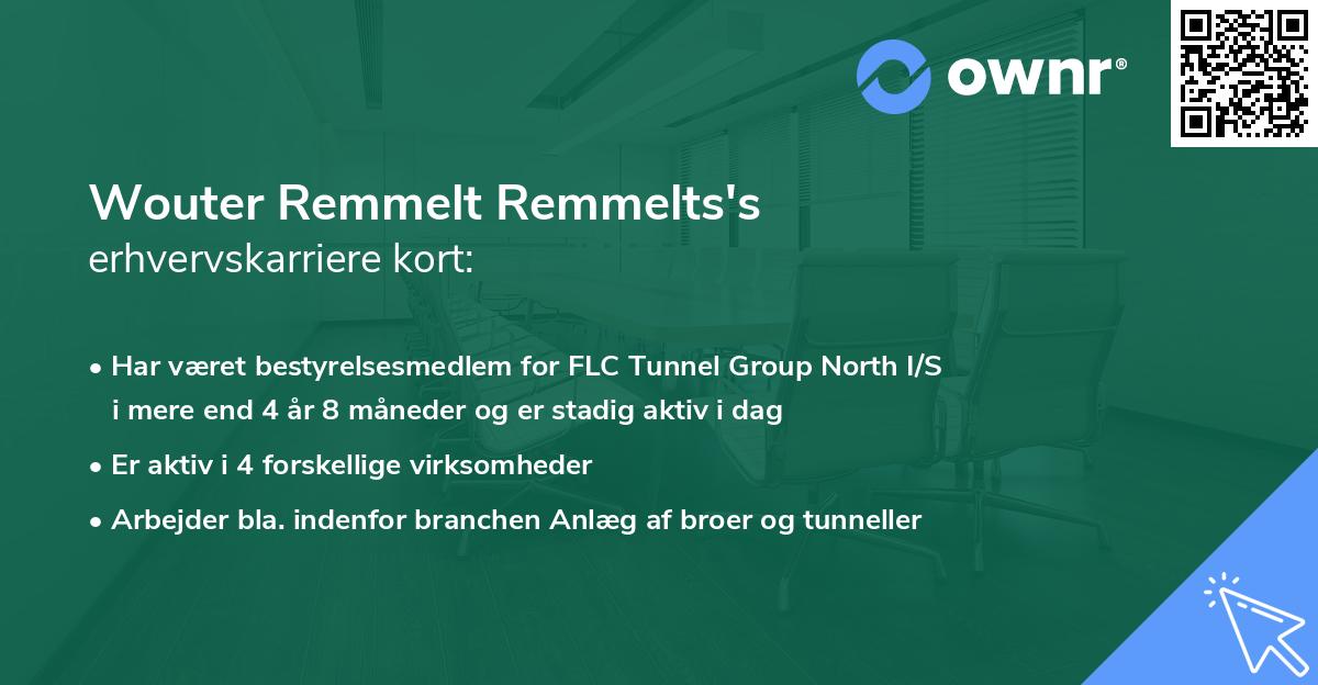 Wouter Remmelt Remmelts's erhvervskarriere kort