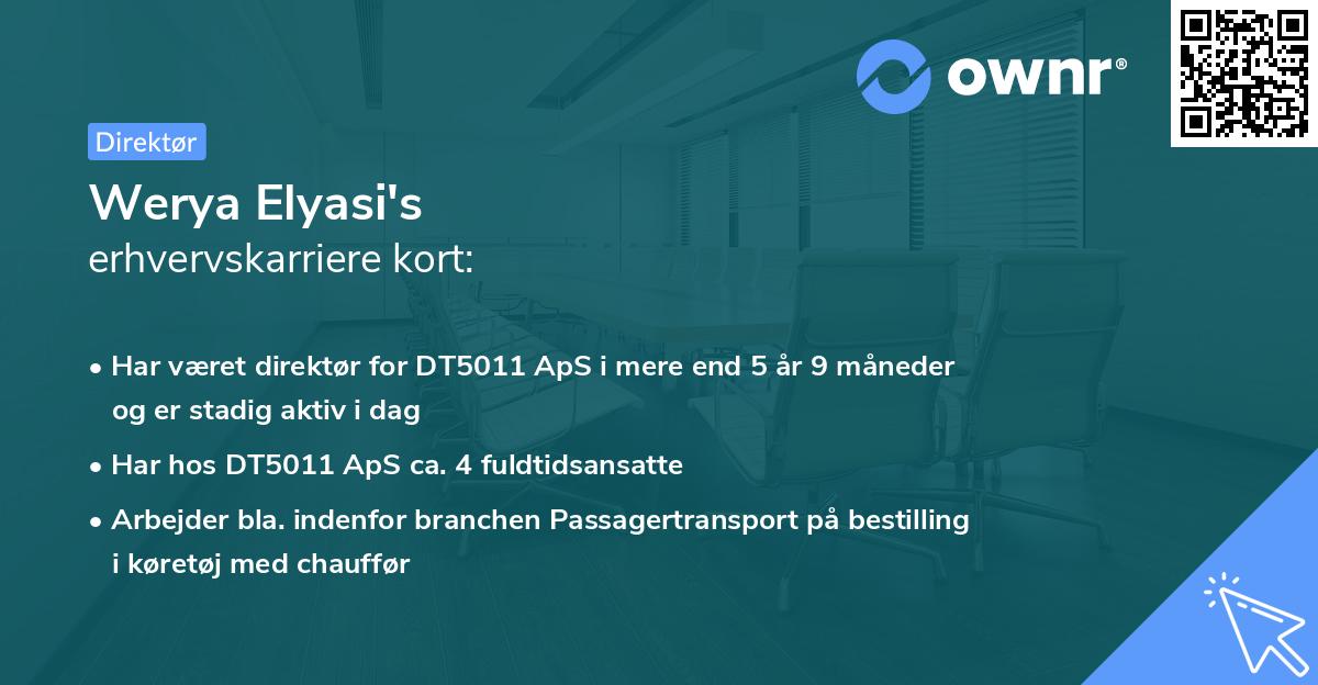 Werya Elyasi's erhvervskarriere kort