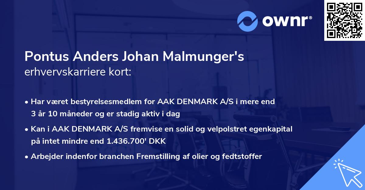 Pontus Anders Johan Malmunger's erhvervskarriere kort