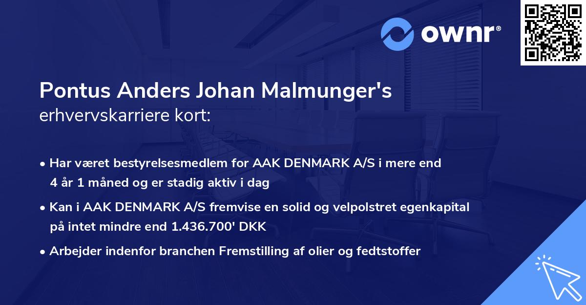 Pontus Anders Johan Malmunger's erhvervskarriere kort