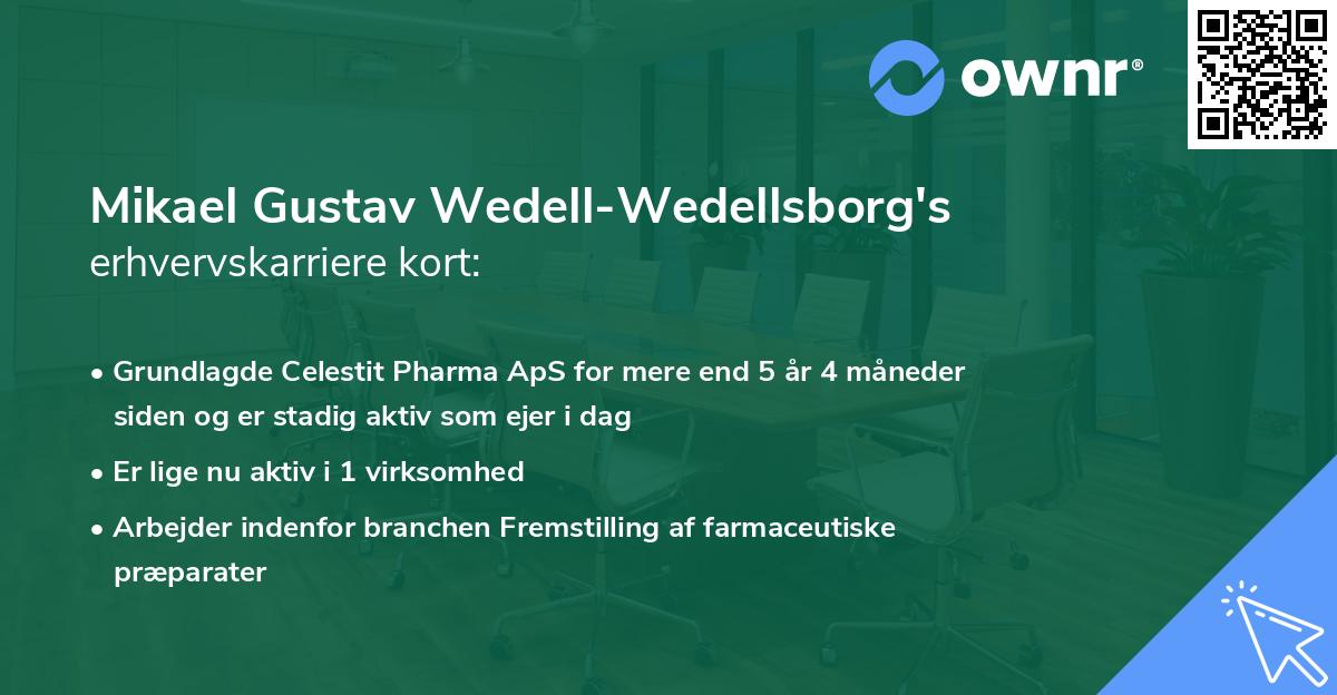 Mikael Gustav Wedell-Wedellsborg's erhvervskarriere kort