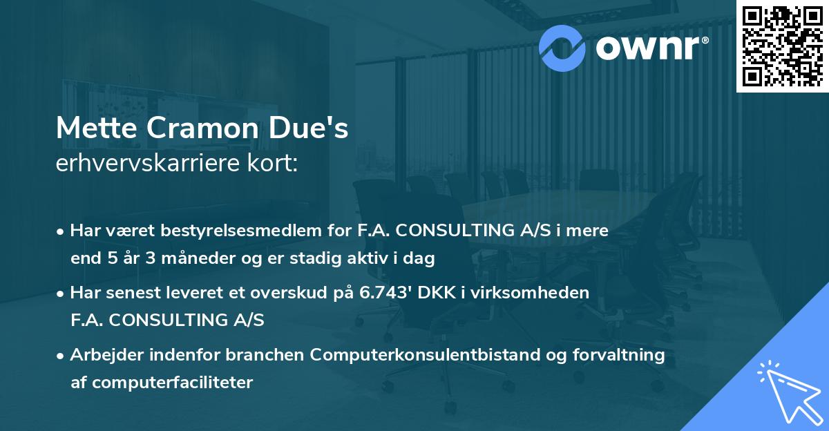 Mette Cramon Due's erhvervskarriere kort