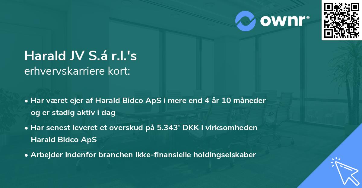 Harald JV S.á r.l.'s erhvervskarriere kort