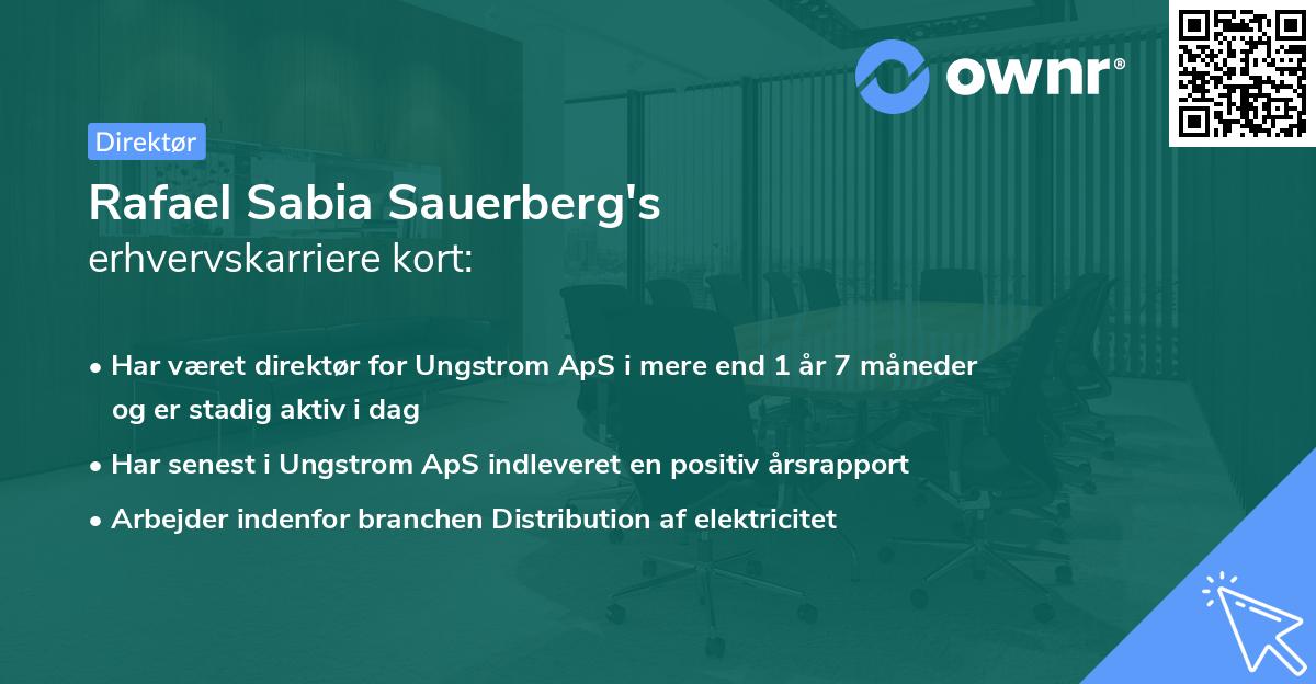 Rafael Sabia Sauerberg's erhvervskarriere kort
