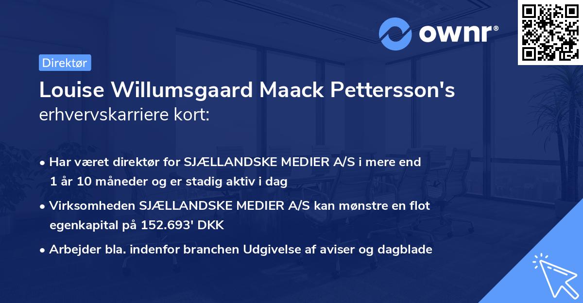 Louise Willumsgaard Maack Pettersson's erhvervskarriere kort