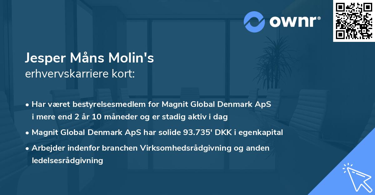 Jesper Måns Molin's erhvervskarriere kort