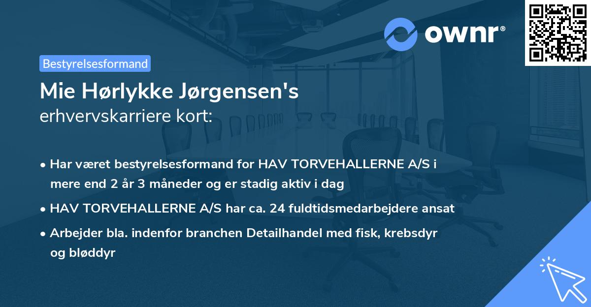 Mie Hørlykke Jørgensen's erhvervskarriere kort