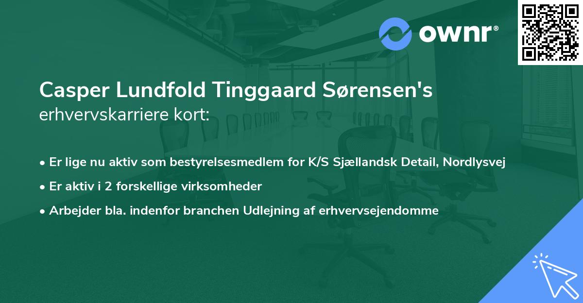 Casper Lundfold Tinggaard Sørensen's erhvervskarriere kort