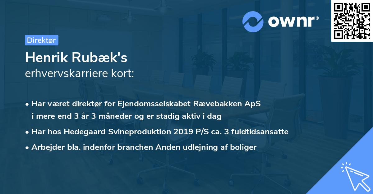 Henrik Rubæk's erhvervskarriere kort