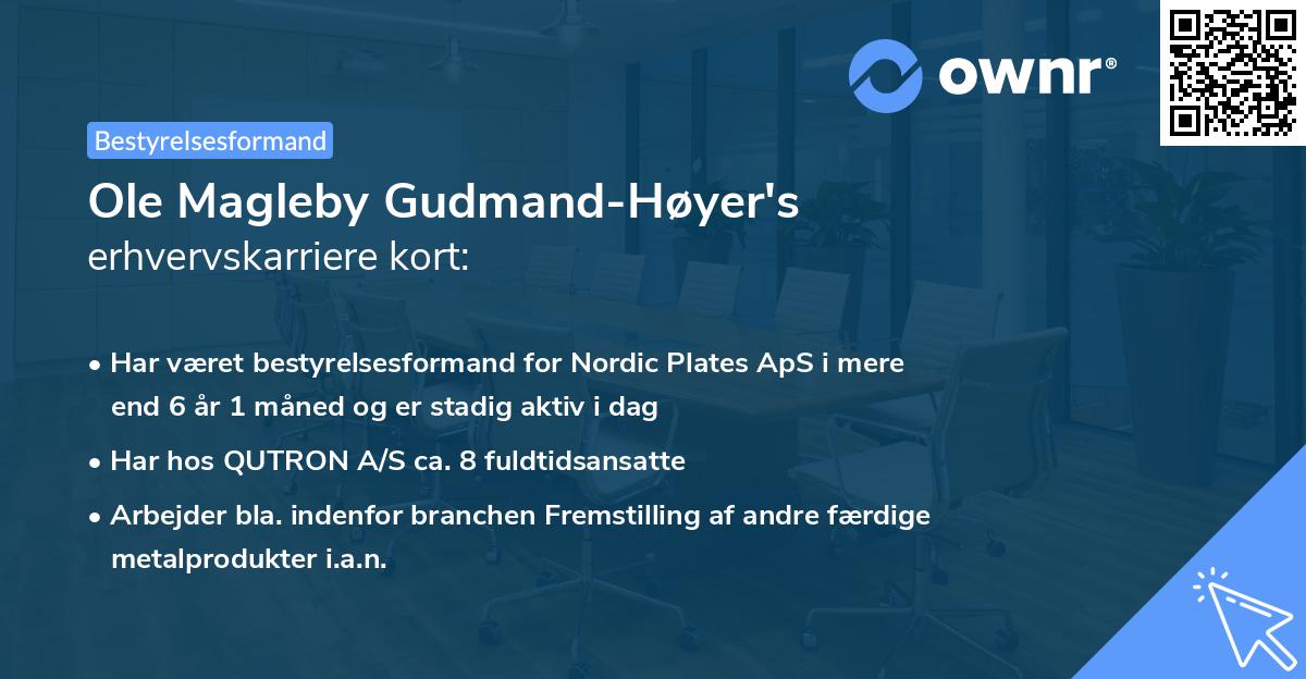Ole Magleby Gudmand-Høyer's erhvervskarriere kort