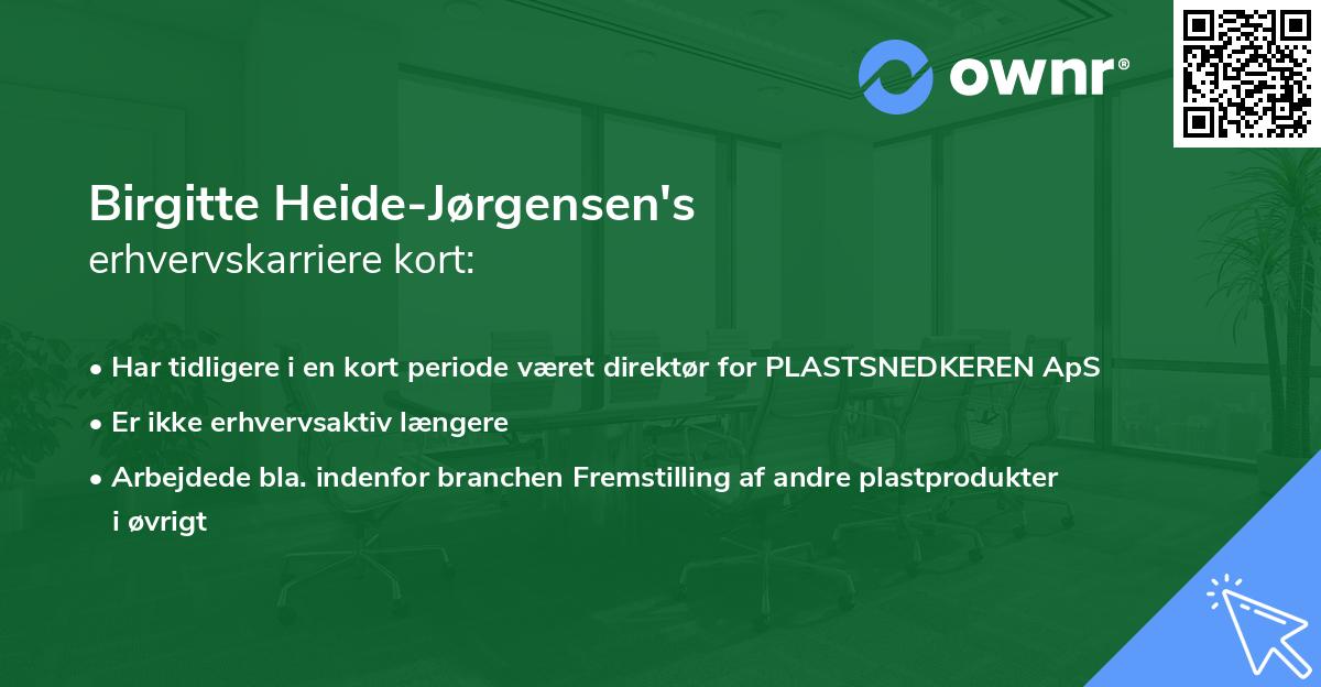 Birgitte Heide-Jørgensen's erhvervskarriere kort