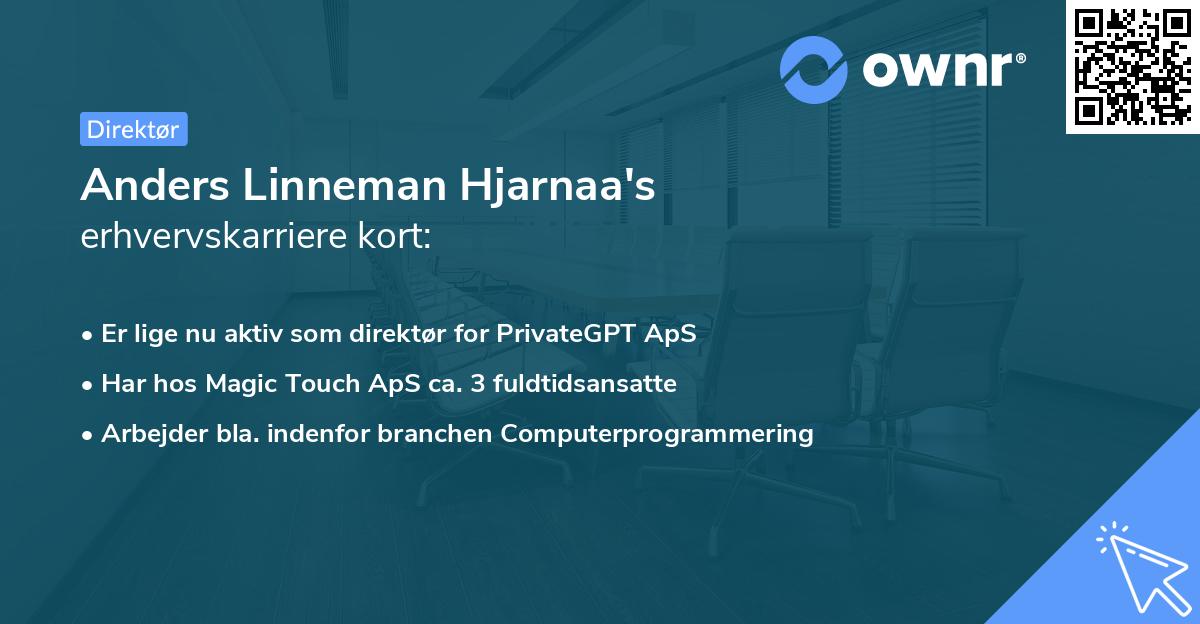 Anders Linneman Hjarnaa's erhvervskarriere kort