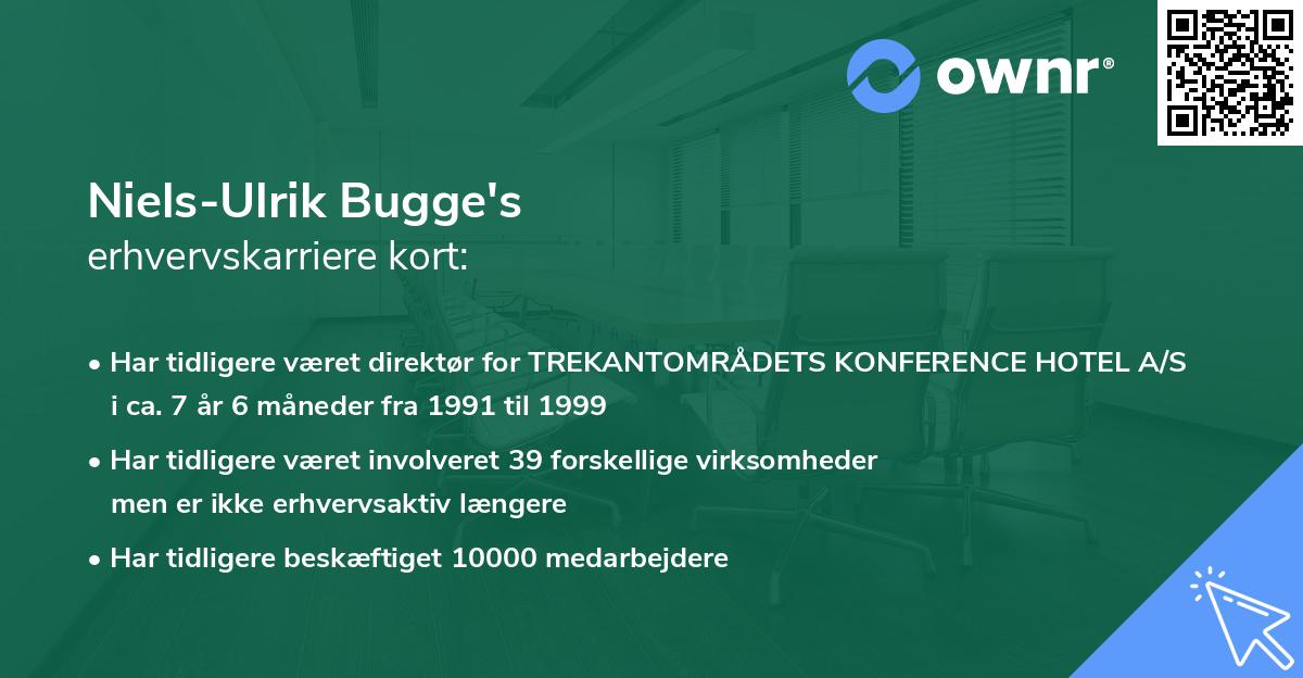 Niels-Ulrik Bugge's erhvervskarriere kort