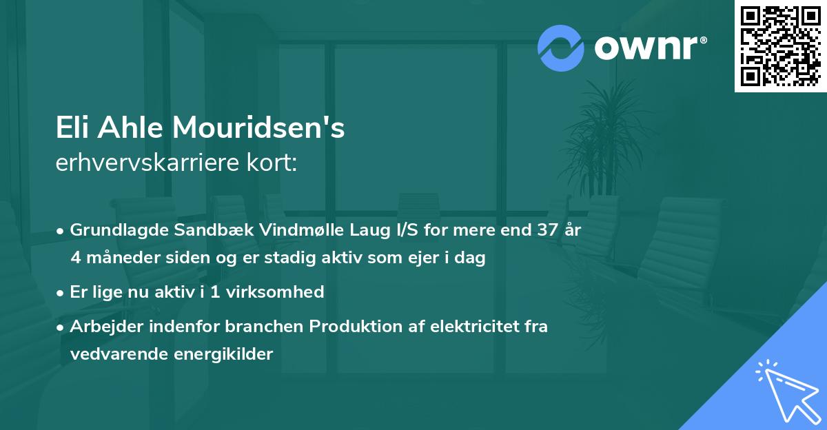Eli Ahle Mouridsen's erhvervskarriere kort