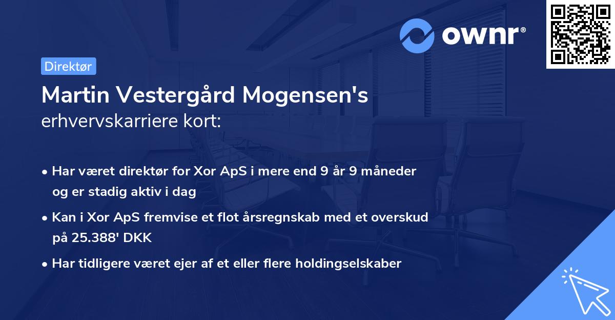 Martin Vestergård Mogensen's erhvervskarriere kort