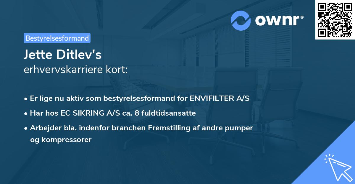 Jette Ditlev's erhvervskarriere kort