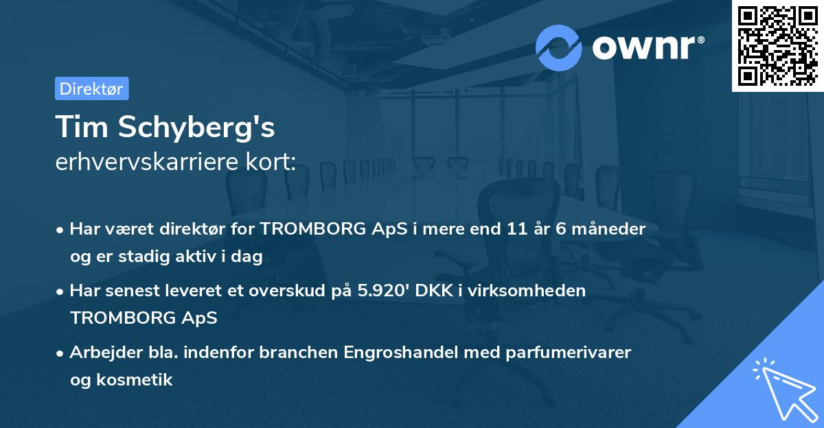 Tim Schyberg's erhvervskarriere kort