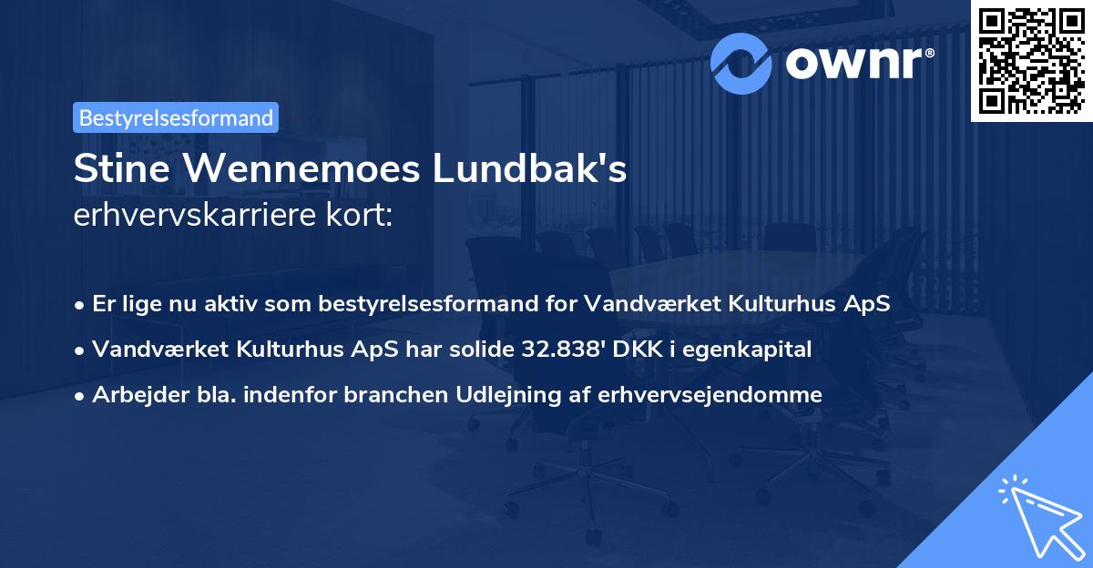 Stine Wennemoes Lundbak's erhvervskarriere kort