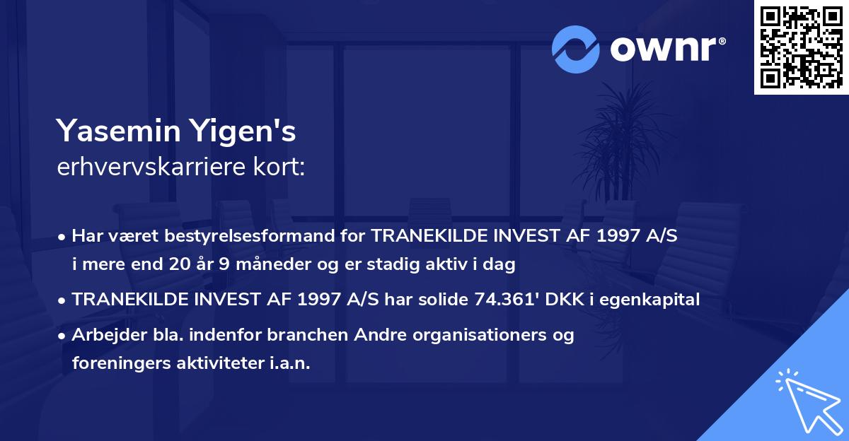 Yasemin Yigen's erhvervskarriere kort