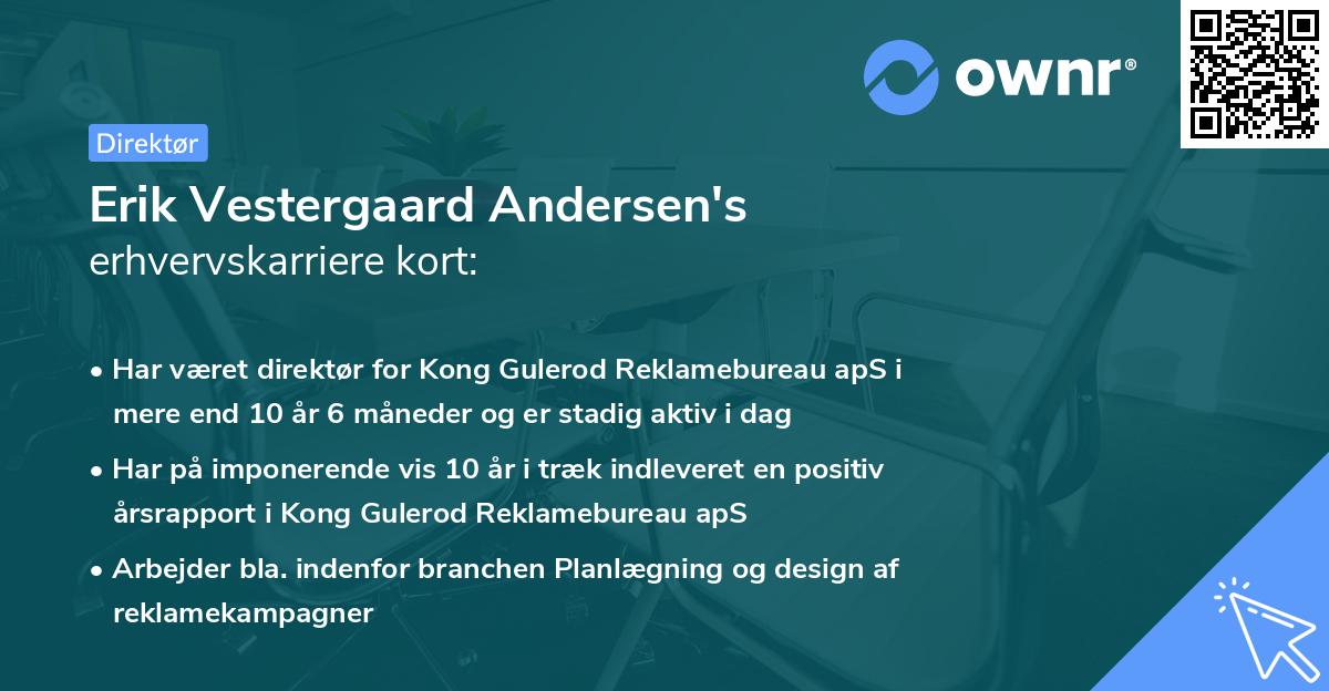 Erik Vestergaard Andersen's erhvervskarriere kort
