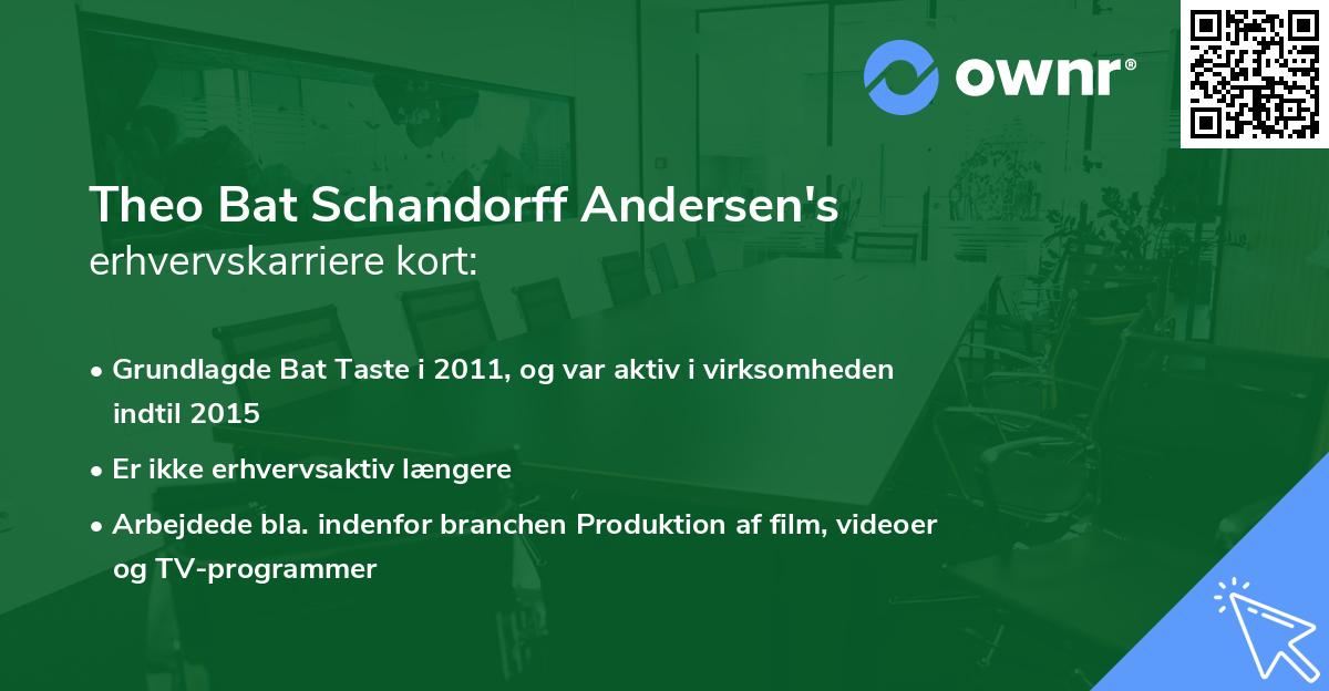 Theo Bat Schandorff Andersen's erhvervskarriere kort