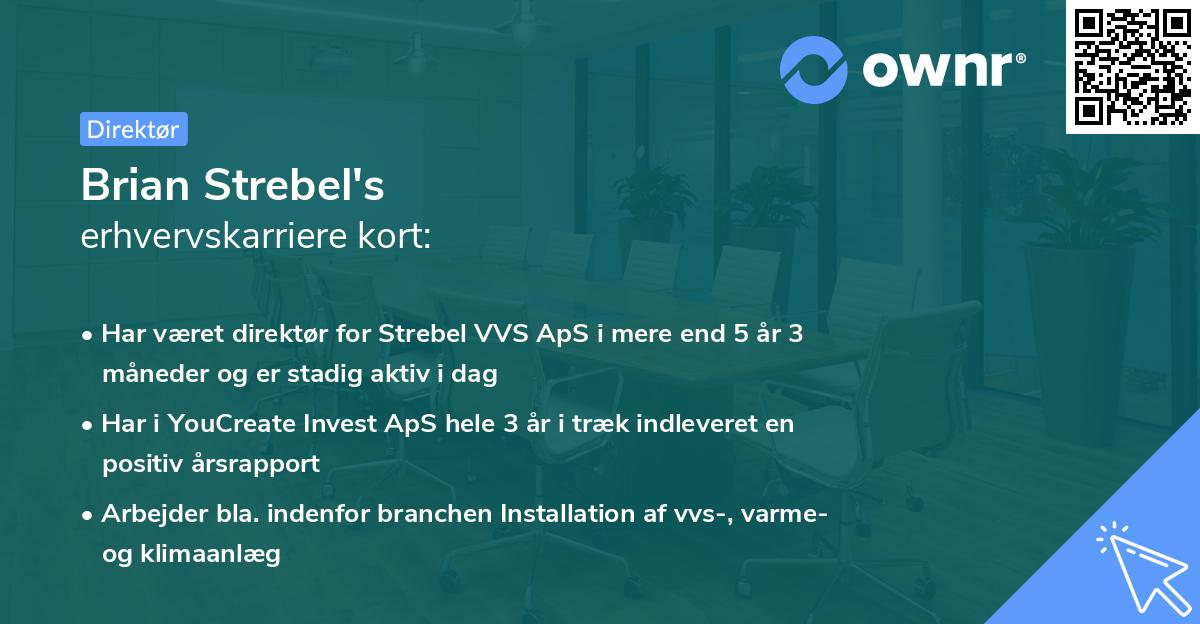 Brian Strebel's erhvervskarriere kort