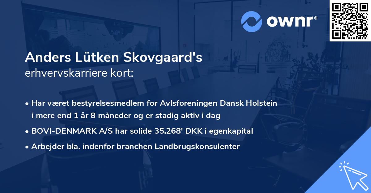 Anders Lütken Skovgaard's erhvervskarriere kort