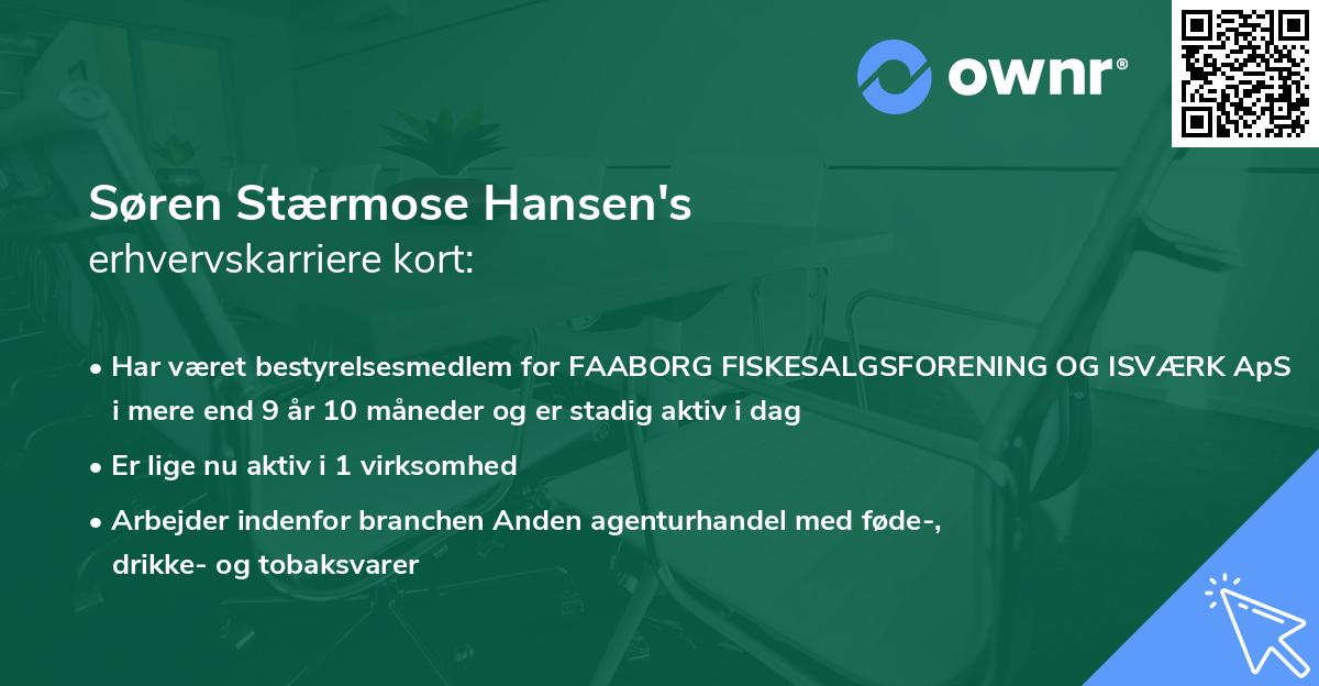 Søren Stærmose Hansen's erhvervskarriere kort