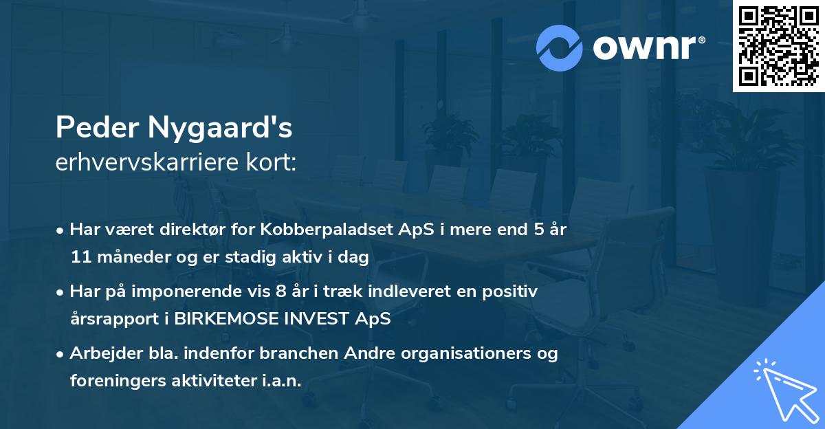Peder Nygaard's erhvervskarriere kort