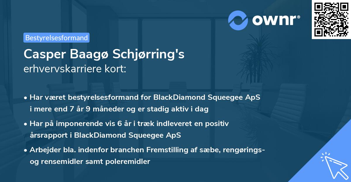 Casper Baagø Schjørring's erhvervskarriere kort