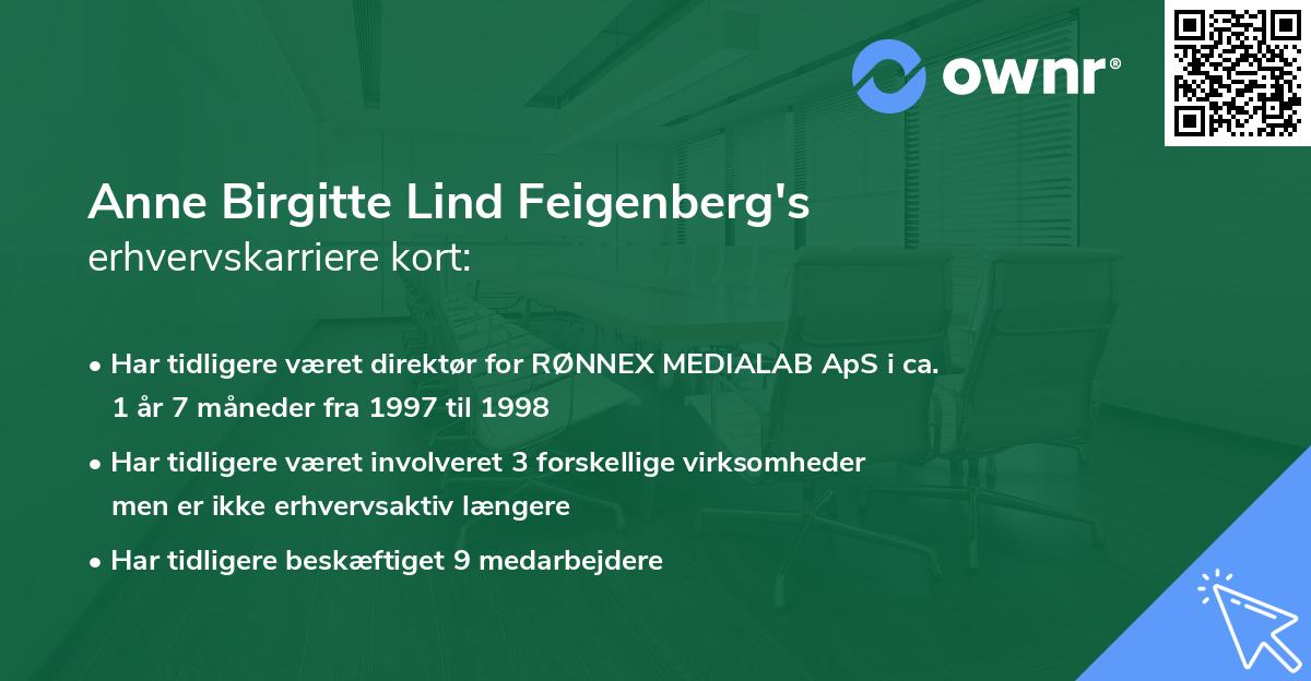 Anne Birgitte Lind Feigenberg's erhvervskarriere kort