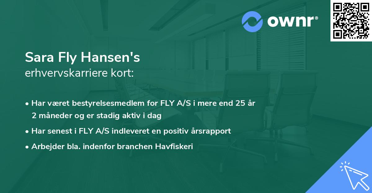 Sara Fly Hansen's erhvervskarriere kort